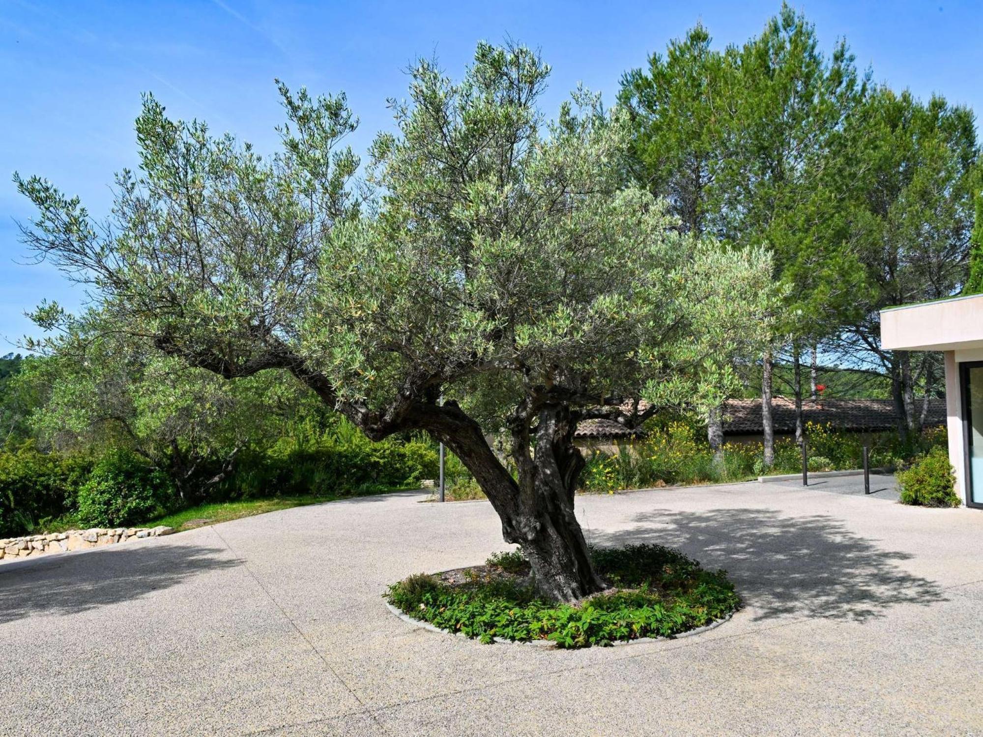 Mercure Brignoles Golf De Barbaroux & Spa Eksteriør bilde